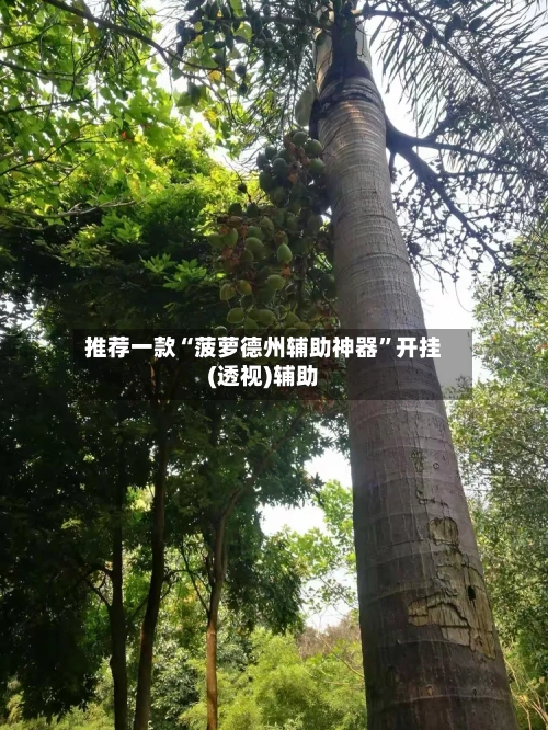 推荐一款“菠萝德州辅助神器	”开挂(透视)辅助-第1张图片