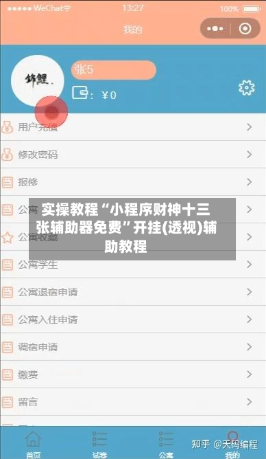 实操教程“小程序财神十三张辅助器免费”开挂(透视)辅助教程-第1张图片