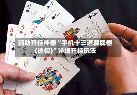 辅助开挂神器“手机十三道算牌器(透视)”详细开挂玩法-第3张图片