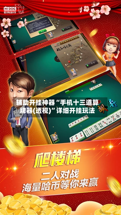 辅助开挂神器“手机十三道算牌器(透视)”详细开挂玩法-第2张图片