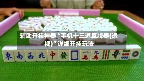 辅助开挂神器“手机十三道算牌器(透视)	”详细开挂玩法-第1张图片